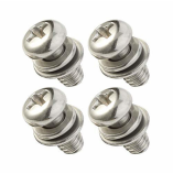 Stainless Electric Screws
